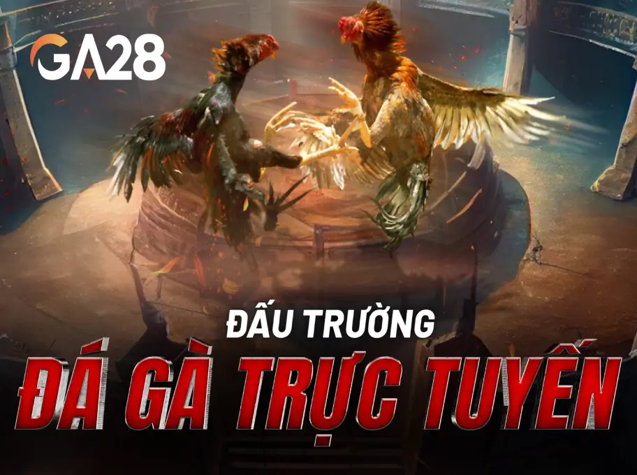 Lucky88 ✔️ Nhà Cái Lucky88.Biz Cá Cược Thể Thao #1 VN 35
