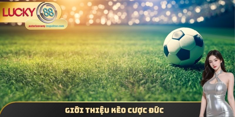 Kèo Bóng Đá Đức - Một Số Thông Tin Tân Binh Cần Chú Ý 2025 1 Giới thiệu kèo cược đức