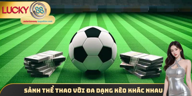 Sảnh thể thao với đa dạng kèo cược khác nhau