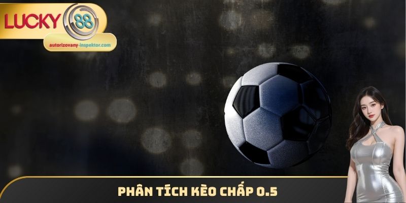 Kèo Chấp 0.5 Lucky88 - Tham Gia Cá Cược Để Chiến Thắng 3 Phân tích kèo chấp 0.5