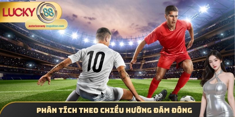 Phân tích theo chiều hướng đám đông
