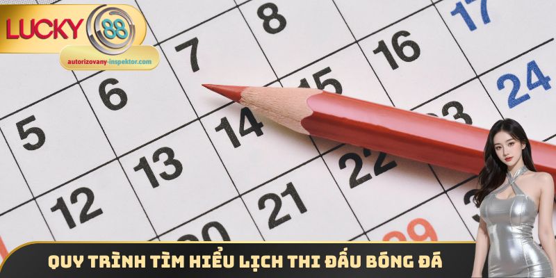 Quy trình tìm hiểu lịch thi đấu bóng đá