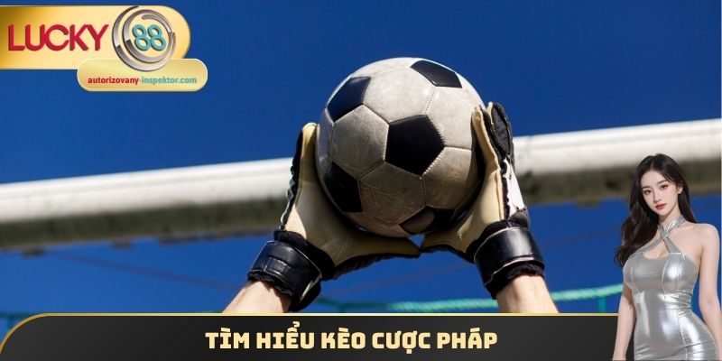 Kèo Bóng Đá Pháp - Tìm Hiểu Tỷ Lệ Cược Ligue 1 Năm 2025 1 Tìm hiểu kèo cược pháp